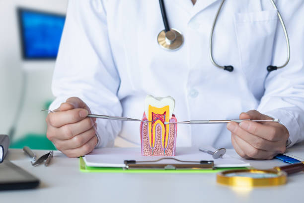 Best Urgent Tooth Repair  in Lake Hallie, WI
